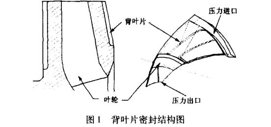 背葉片密封結構圖
